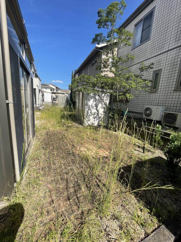 草抜き前